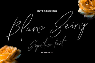 Blanc Seing: The Signature Typeface That Elevates Small Business Brands