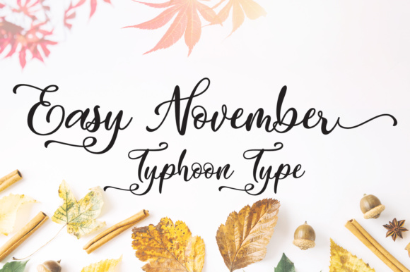 Easy November: The Script Font That Stops the Scroll