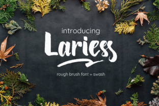 Lariess Font Review: Elevating Campaign Visuals with Hand-Made Style