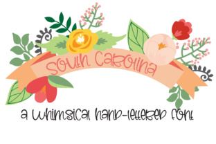 PN South Carolina: A Whimsical Typeface for Bold Campaigns