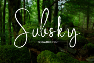 Subsky: A Signature Typeface for Modern Web Design
