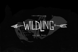 Wildwildling: A Raw Script for Bold Brand Identity